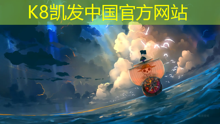 k8凯发官网入口：巨野全塑型塑胶跑道施工